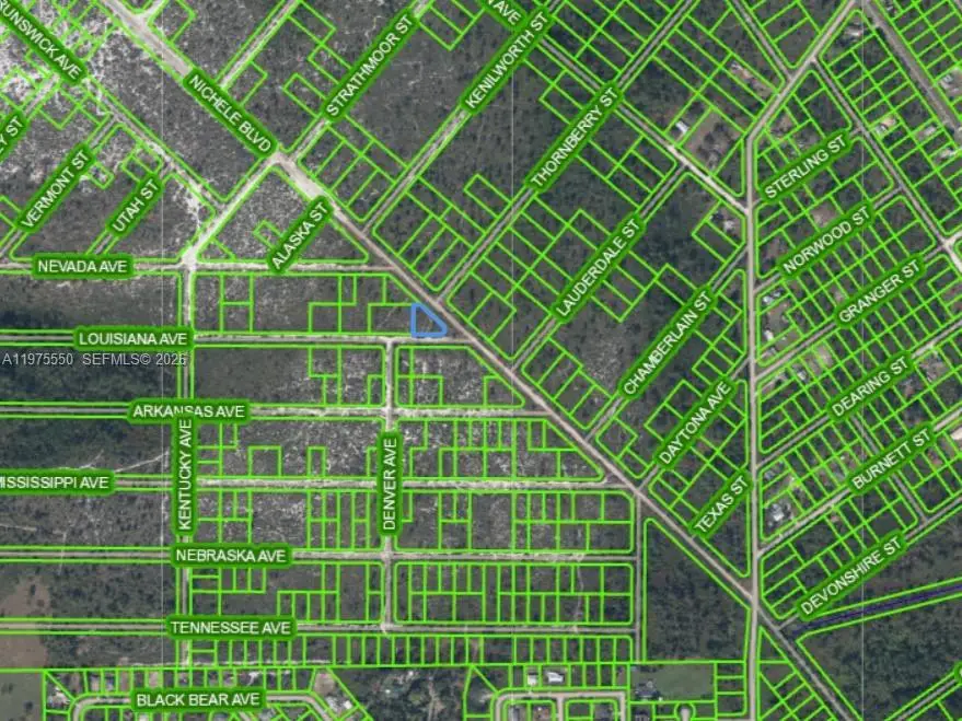 532 Nichele Boulevard, Lake Placid, FL 33852 - #2