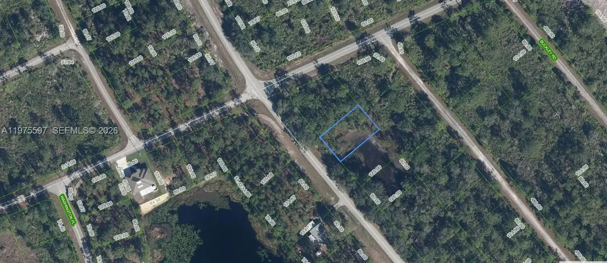 615 Wildflower Street, Lake Placid, FL 33852 - #1