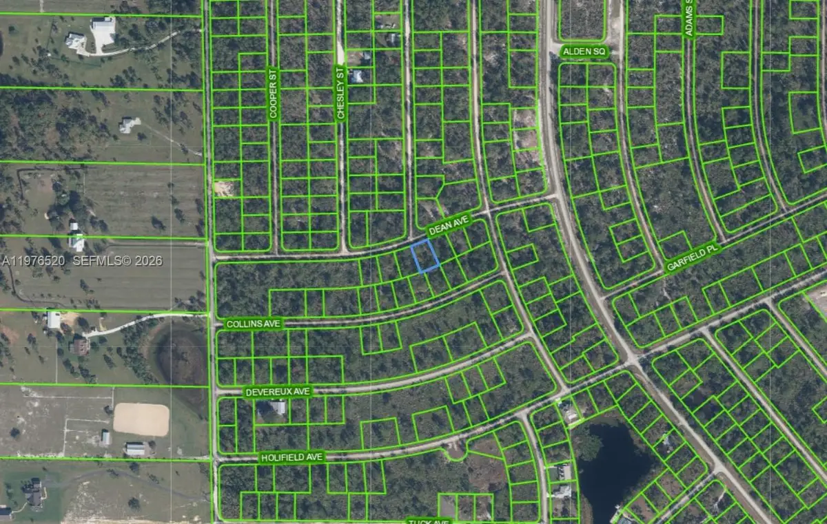 3238 Dean Avenue, Lake Placid, FL 33852 - #1