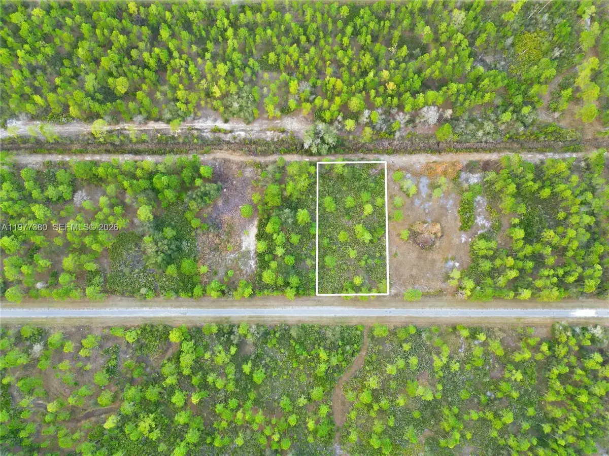 310 Tropicana Dr, Lake Wales, FL 33855 - #1