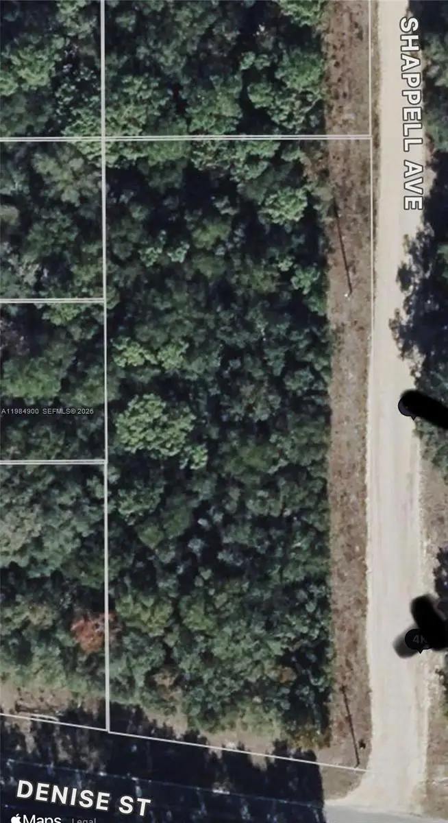 25 09 24 4076 1280 0140 Shappell Ave, Interlachen Florahome, FL 32148 - #1