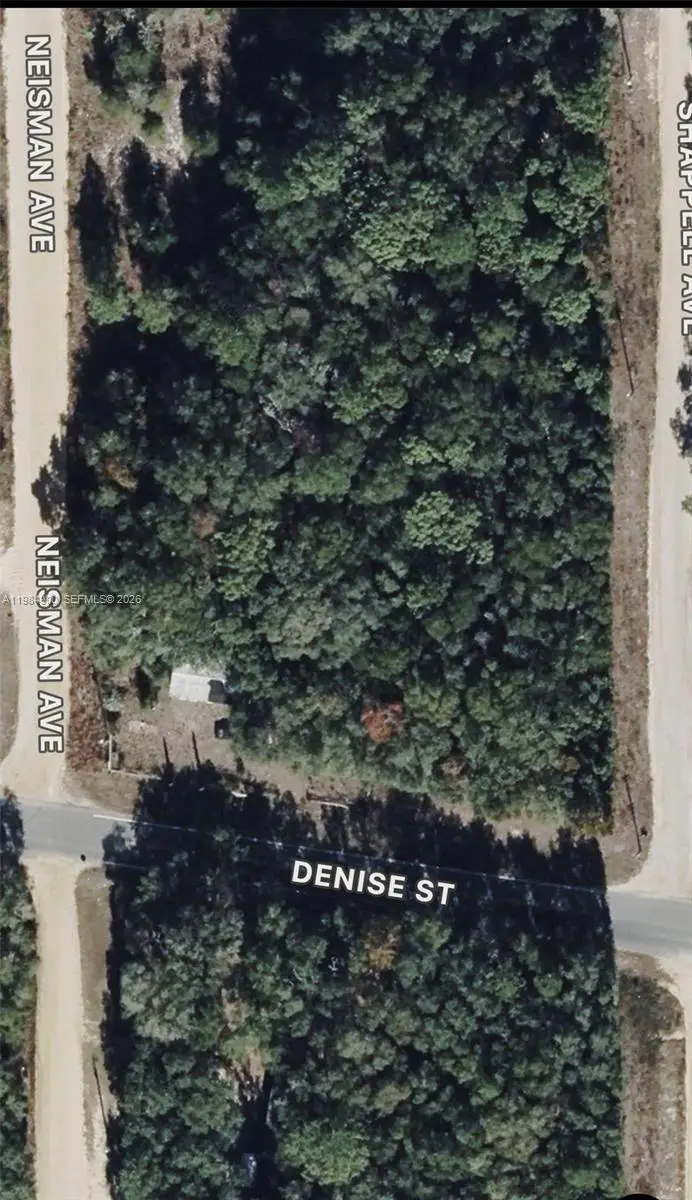 25 09 24 4076 1280 0140 Shappell Ave, Interlachen Florahome, FL 32148 - #2