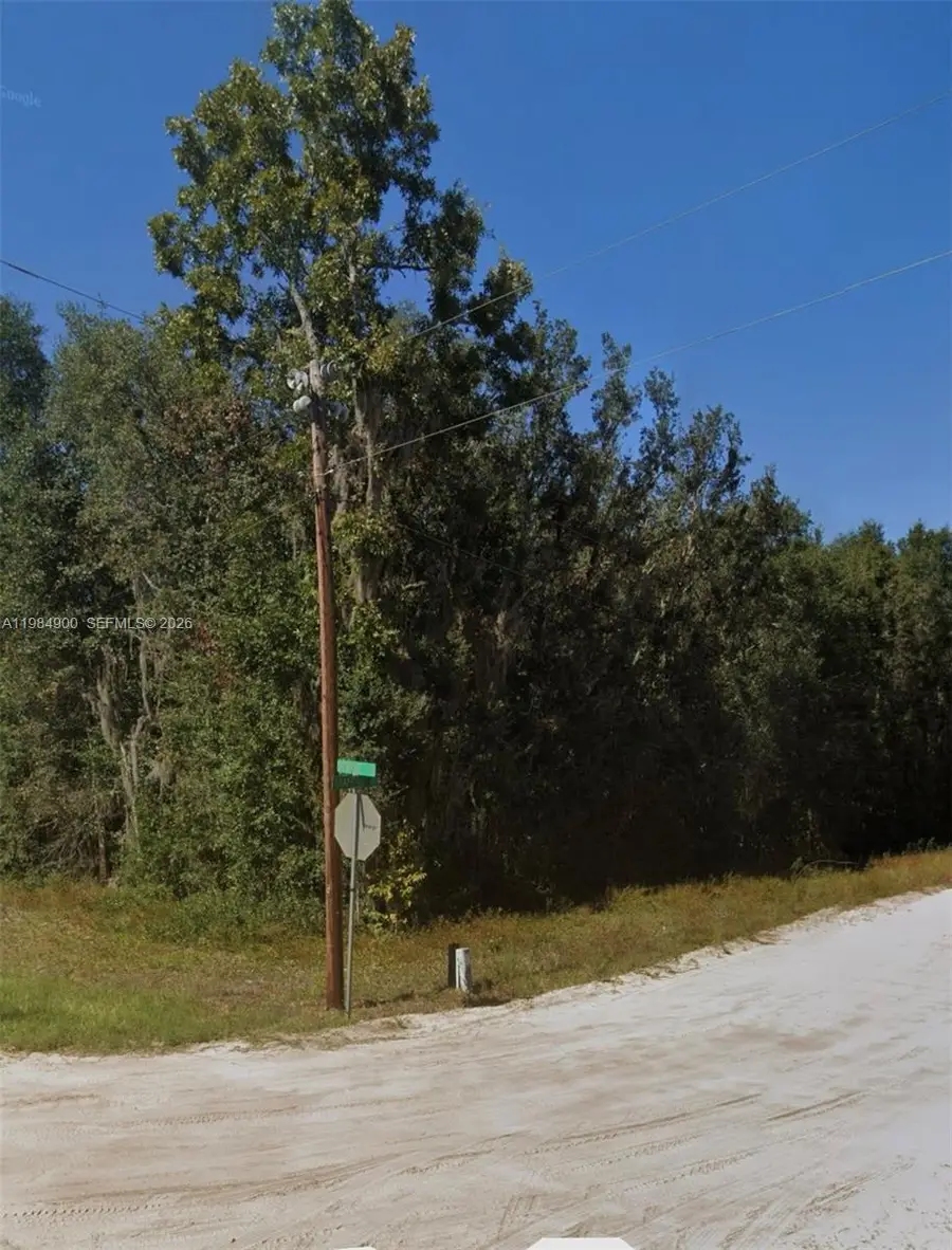25 09 24 4076 1280 0140 Shappell Ave, Interlachen Florahome, FL 32148 - #3