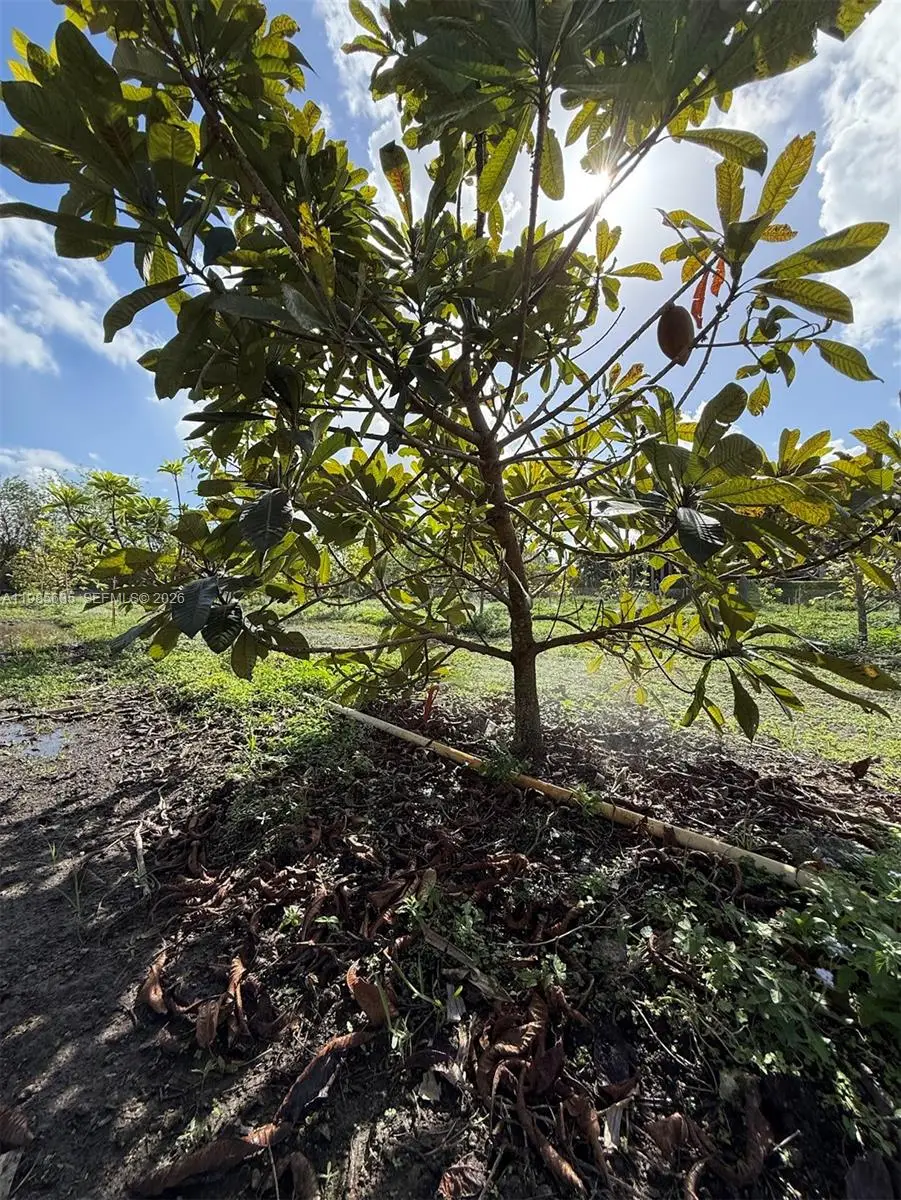 16455 SW 207, Everglades, FL 33187 - #1