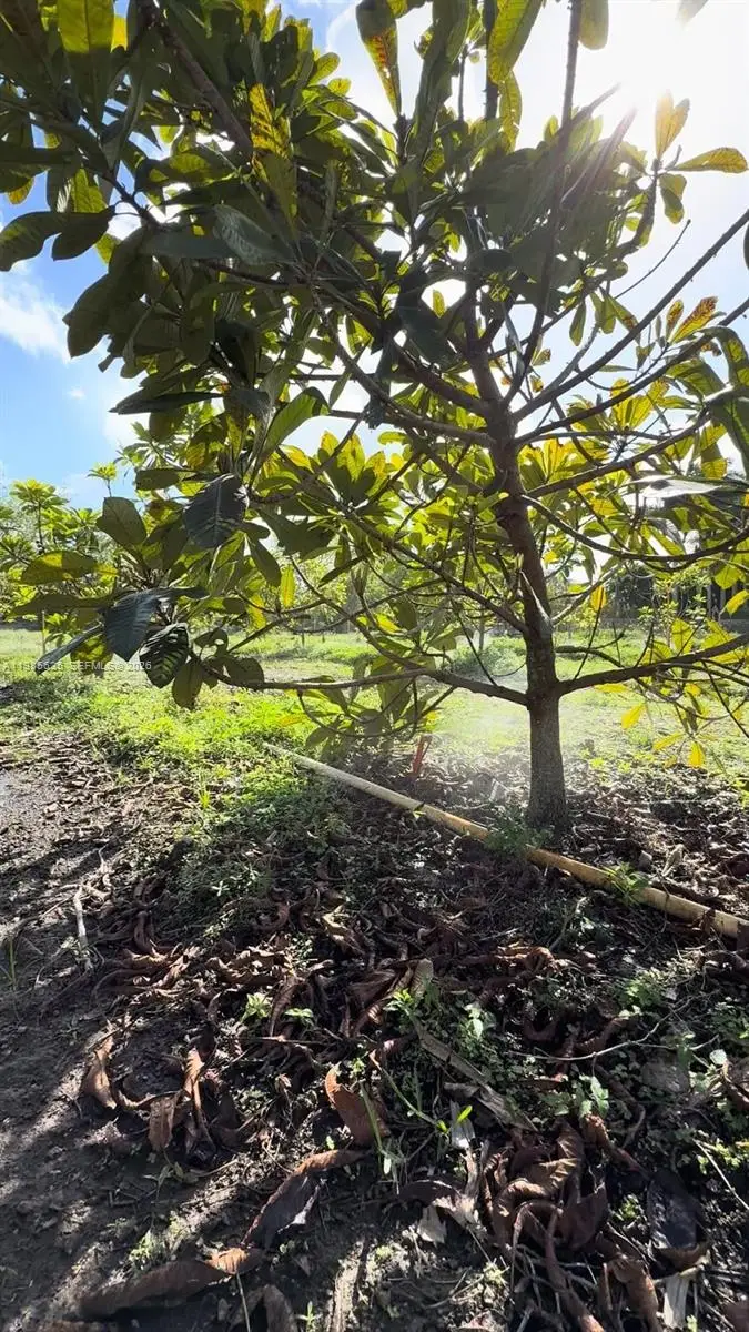 16455 SW 207, Everglades, FL 33187 - #2