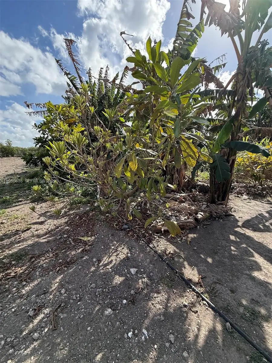 16455 SW 207, Everglades, FL 33187 - #3
