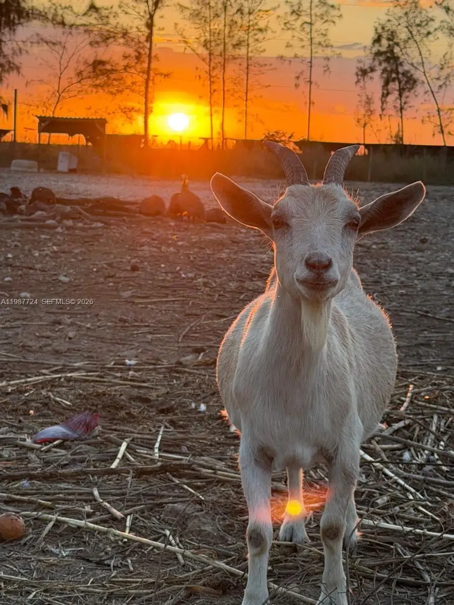 208 Ave, Miami, FL 33196 - #1