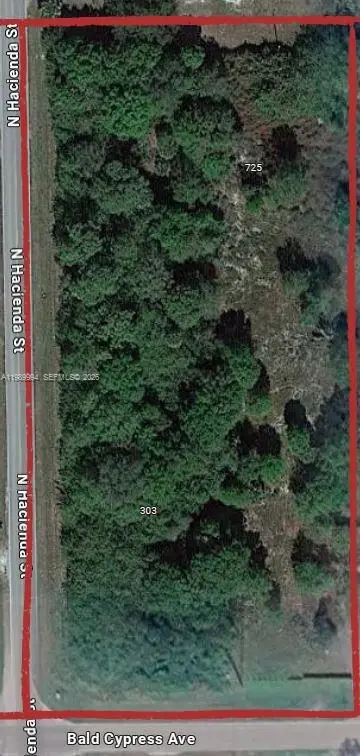 303 Bald Cypress, Clewiston, FL 33440