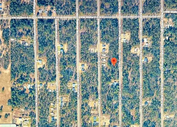 206 SW Tree Top Road, Other, FL 34431