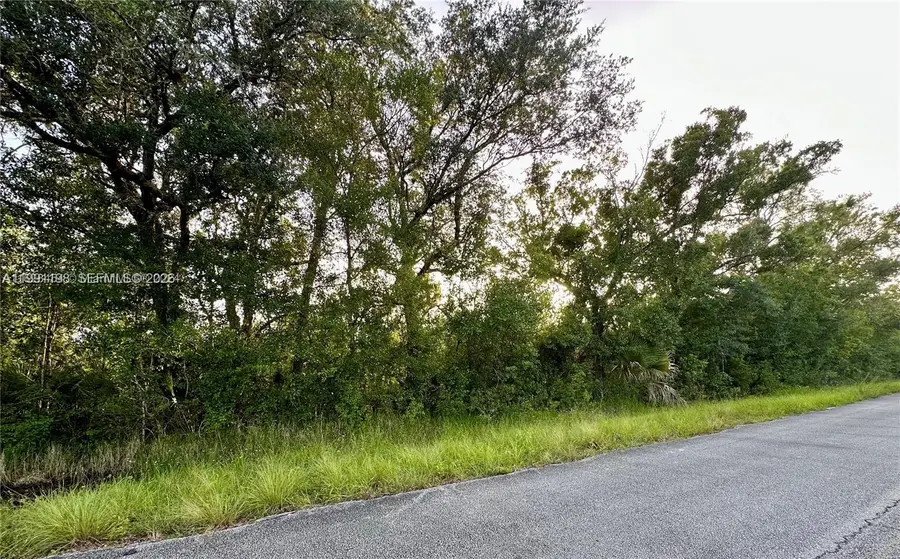 36675 NE 9th Dr, Okeechobee, FL 34972 - #2