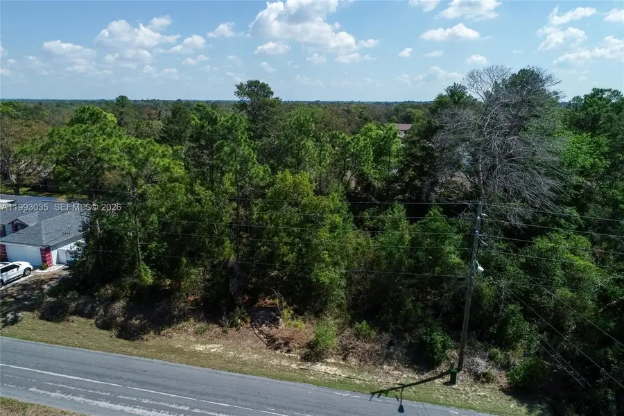 1 Tomahawk Ave, Spring Hill, FL 34606 - #3