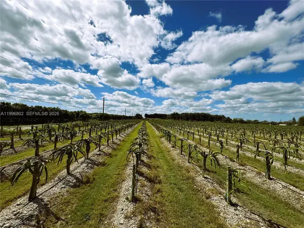 152xx Sw 197th Ave, Miami, FL 33196