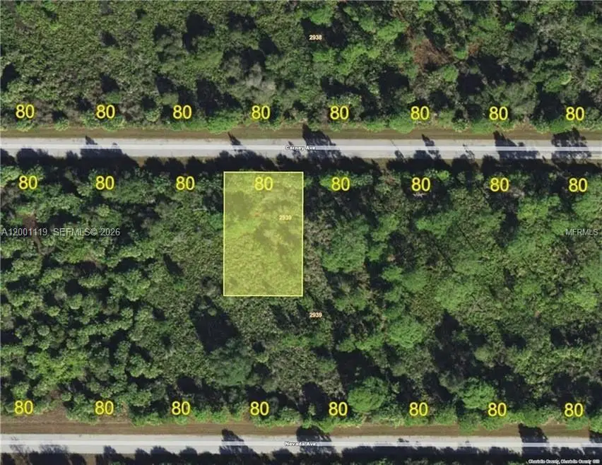 14203 Carney Avenue, Port Charlotte, FL 33953 - #2