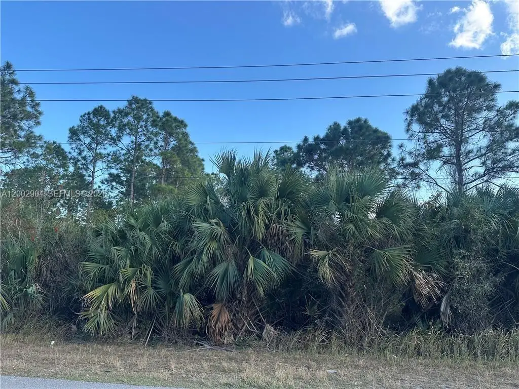 665 Woodcrest, Lehigh Acres, FL 33972 - #1