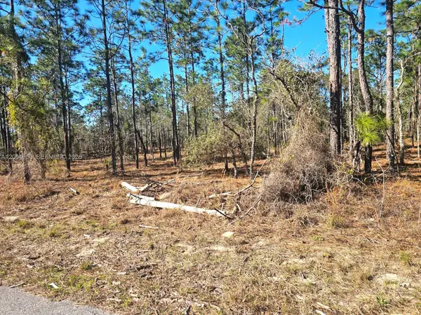 NO Situs NW Shamrock Ave, Other, FL 34431