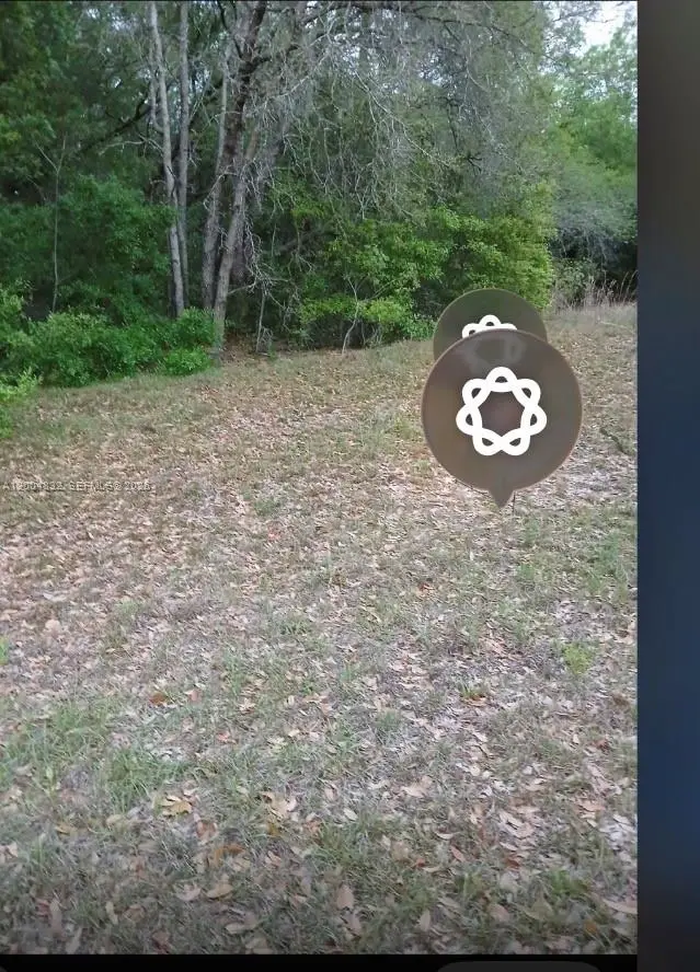 41 W Vince Pl, Citrus Springs, FL 34434 - #3