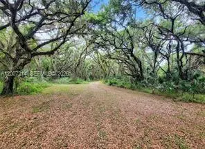 1040 Kirby Thompson Rd, Fort Denaud, FL 33935 - #2