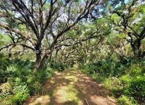 1040 Kirby Thompson Rd, Fort Denaud, FL 33935 - #3