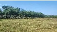 Zona Sur, Carretera Del Litoral, Cangrejera, La Libertad, FL  - #3