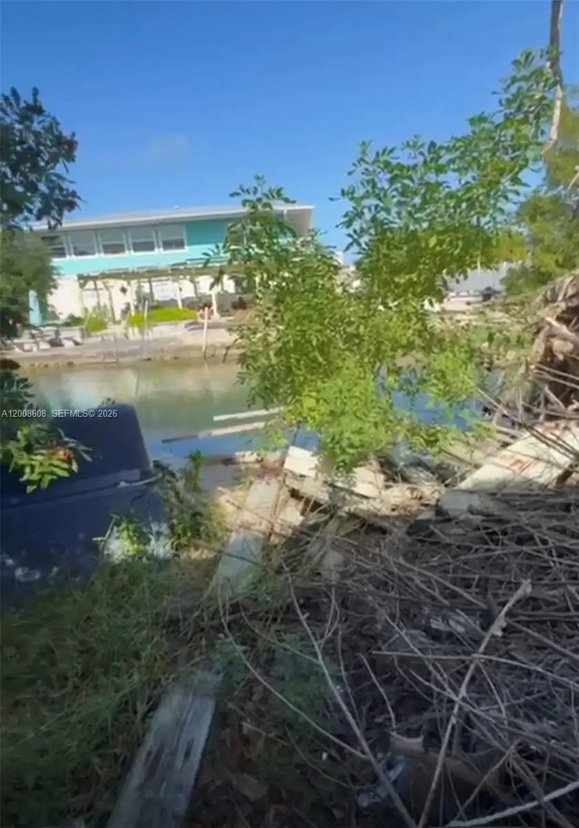 22963 Anne Bonny Ln, Cudjoe Key, FL 33042 - #3