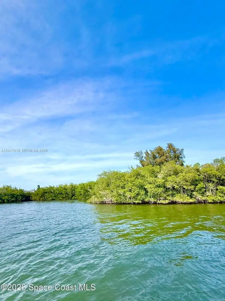 Grant Island, Grant Valkaria, FL 32949 - #3