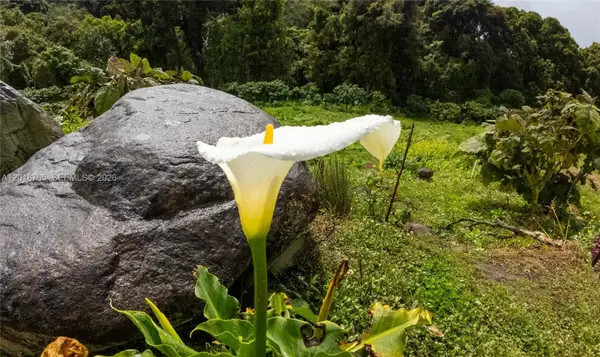 Cerro Punta Cloud Forest Estate, ,  
