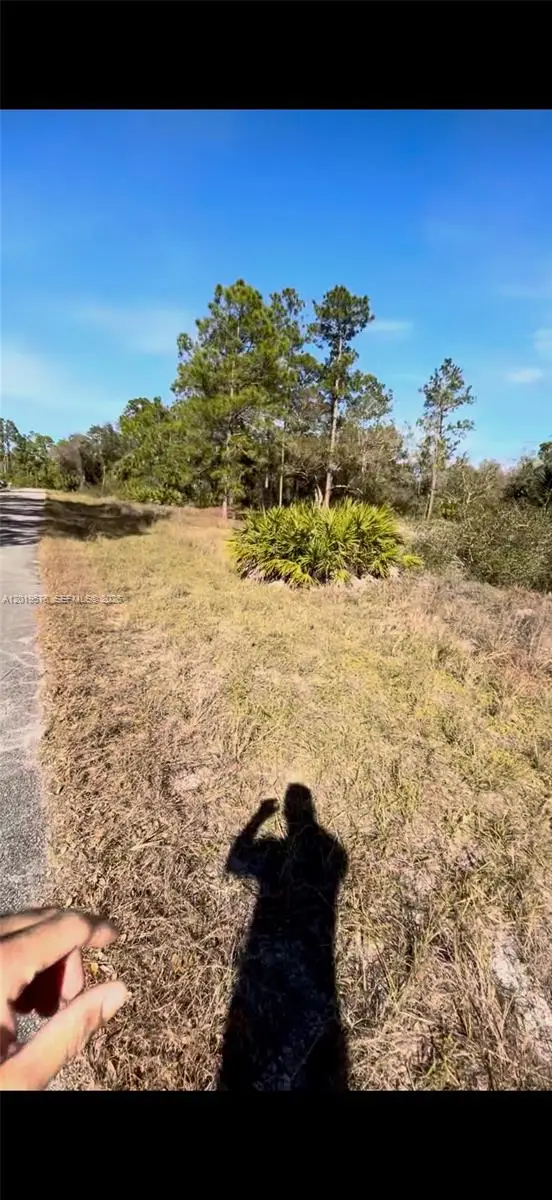 2112 Irving Ave, Alva, FL 33920 - #1