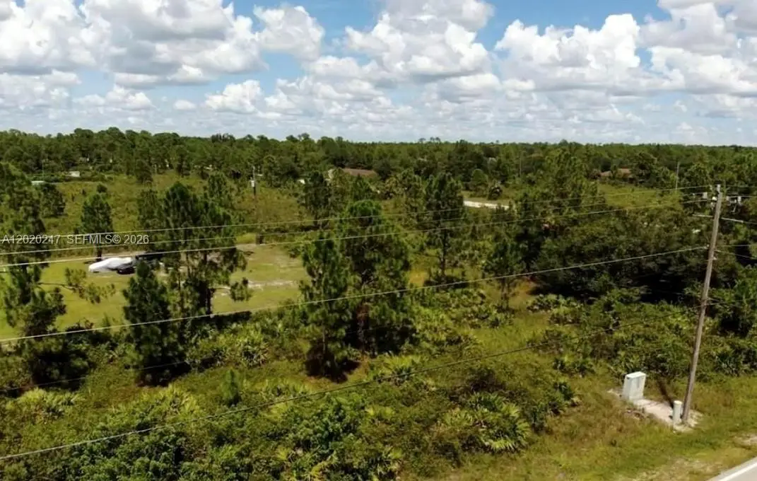 303 E 10th St, Lehigh Acres, FL 33972 - #1