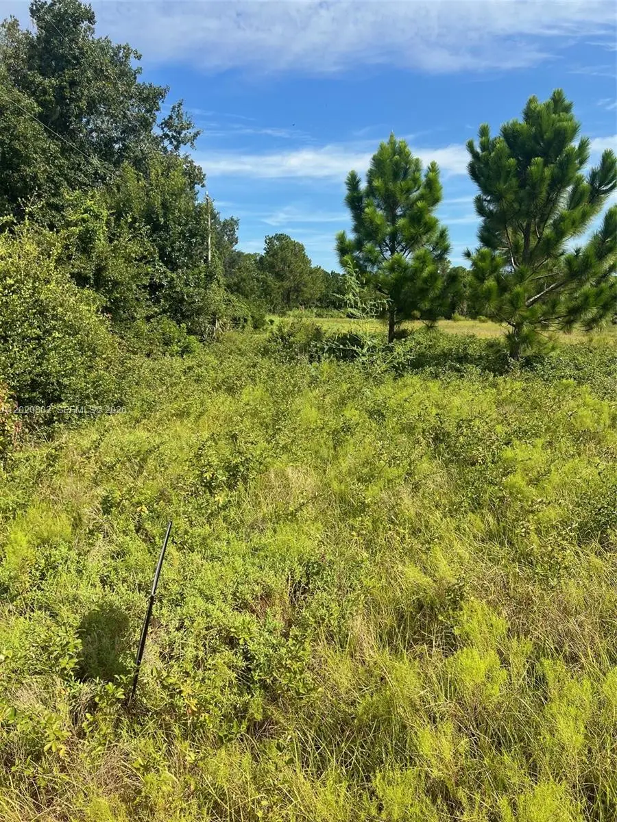 Huntington Shortcut Rd, Crescent City, FL 32112 - #2