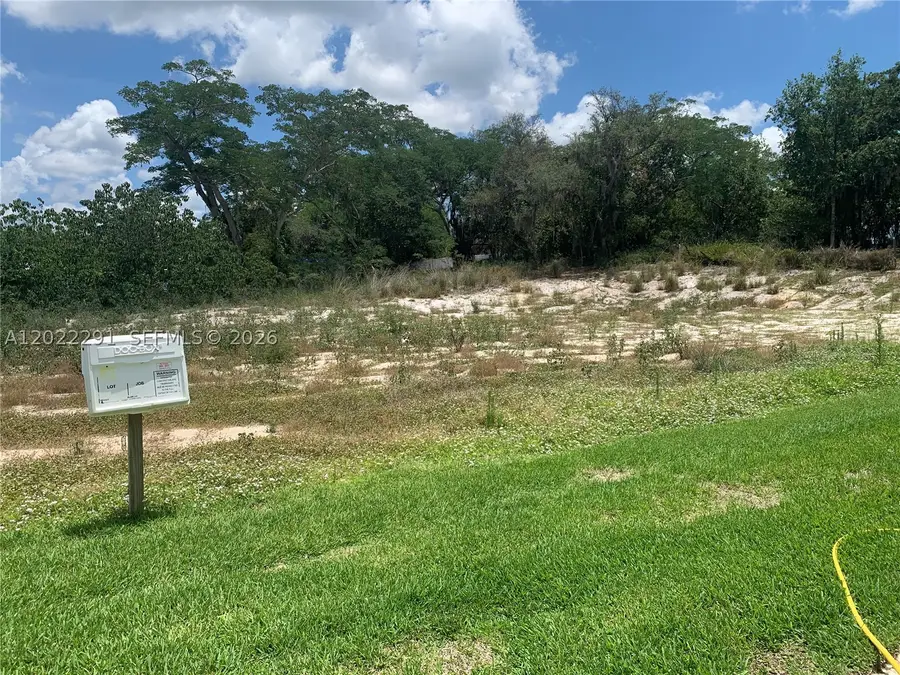 116 Clinton Ave, Lake Placid, FL 33852 - #3