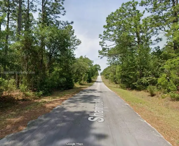 Lot 47 Shamrock Avenue, Other, FL 34431