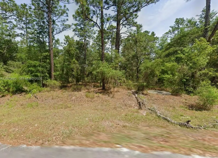 Lot 47 Shamrock Avenue, Rainbow Lakes Estates, FL 34431 - #2