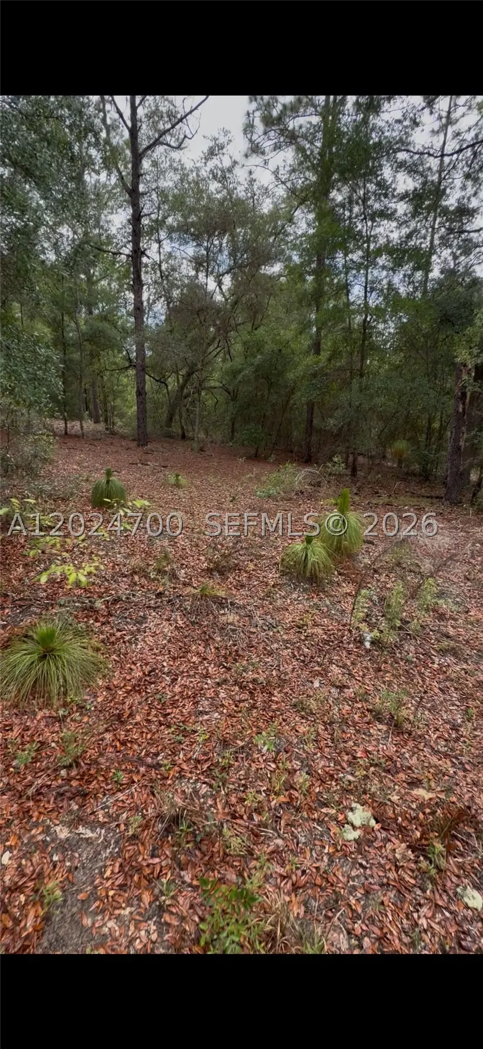 1373 SW 153rd Ave, Ocala, FL 34481 - #1