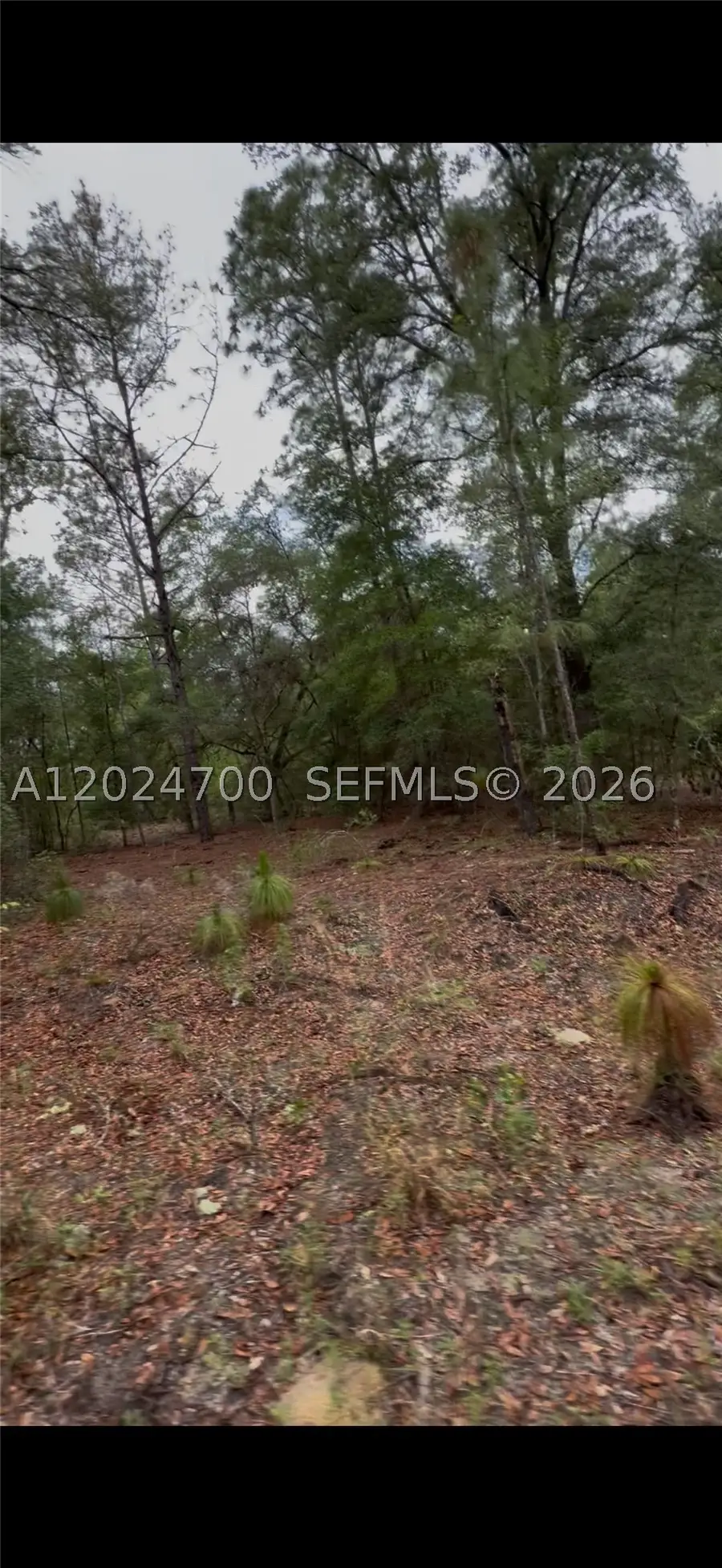 1373 SW 153rd Ave, Ocala, FL 34481 - #3