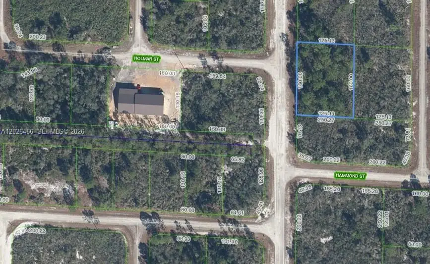 1139 Brook Hollow Rd, Lake Placid, FL 33852 - #2