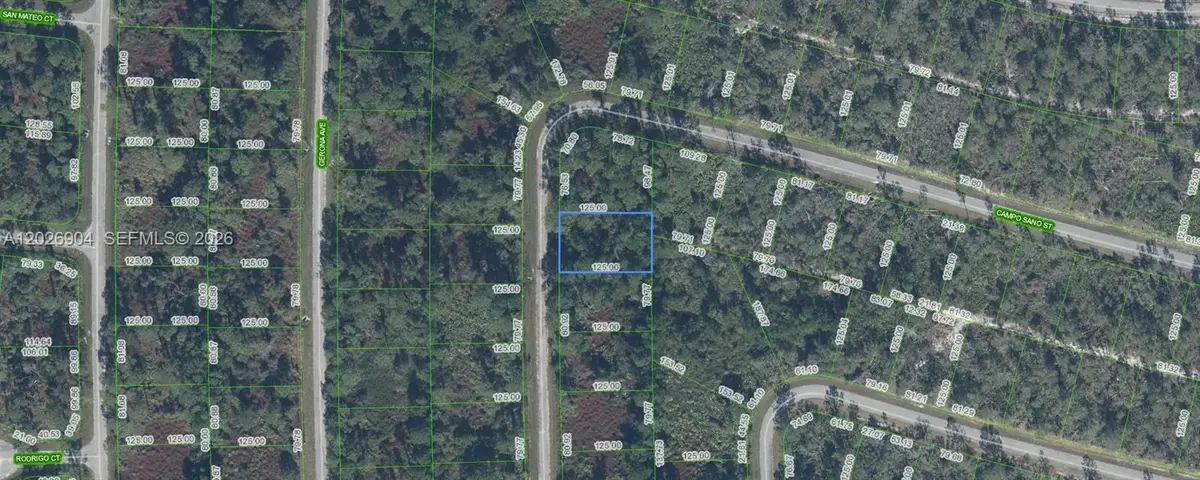 6824 Alcala Avenue, Sebring, FL 33872 - #1