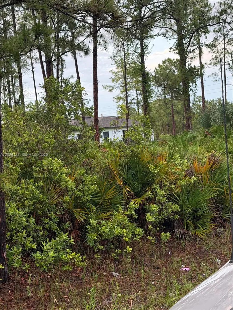 3204 32 St W, Lehigh Acres, FL 33971 - #3