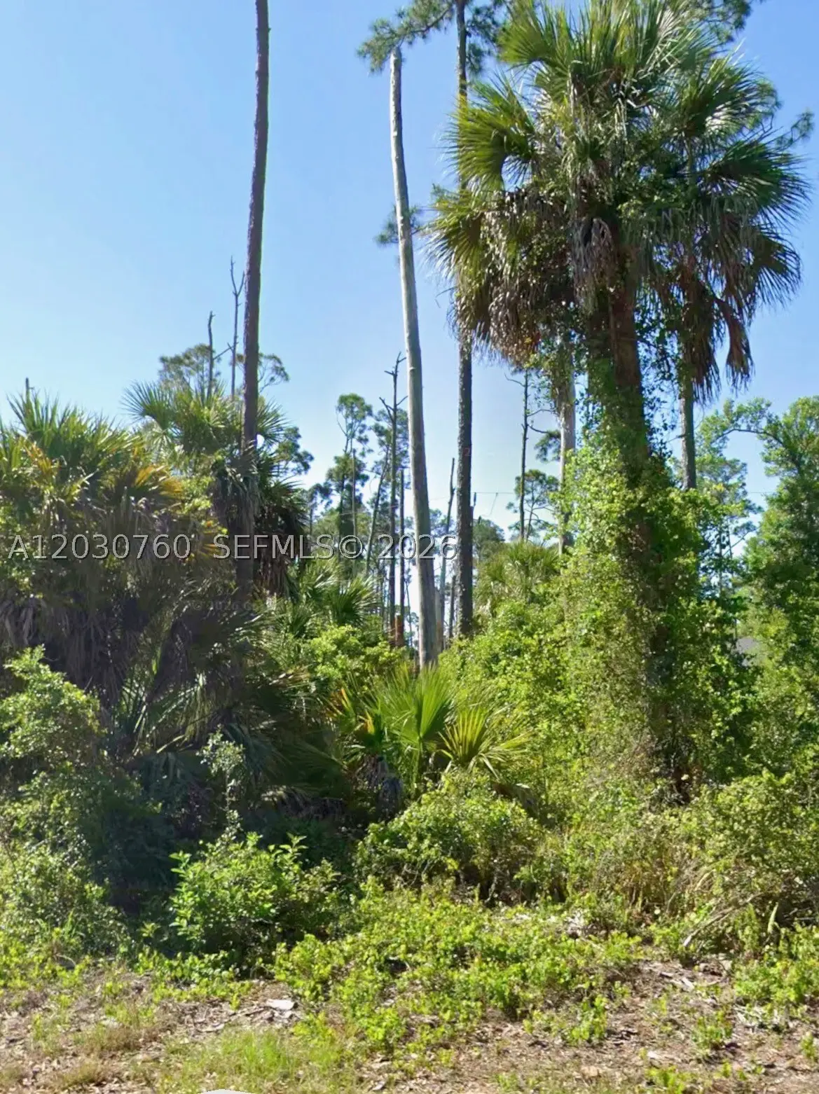 17453 Dudley Ave, Port Charlotte, FL 33954 - #1