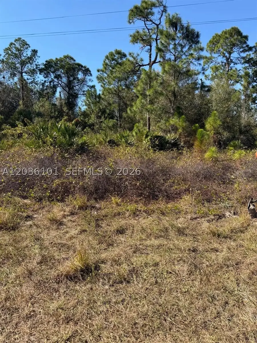 216 Columbus, Lehigh Acres, FL 33974 - #3