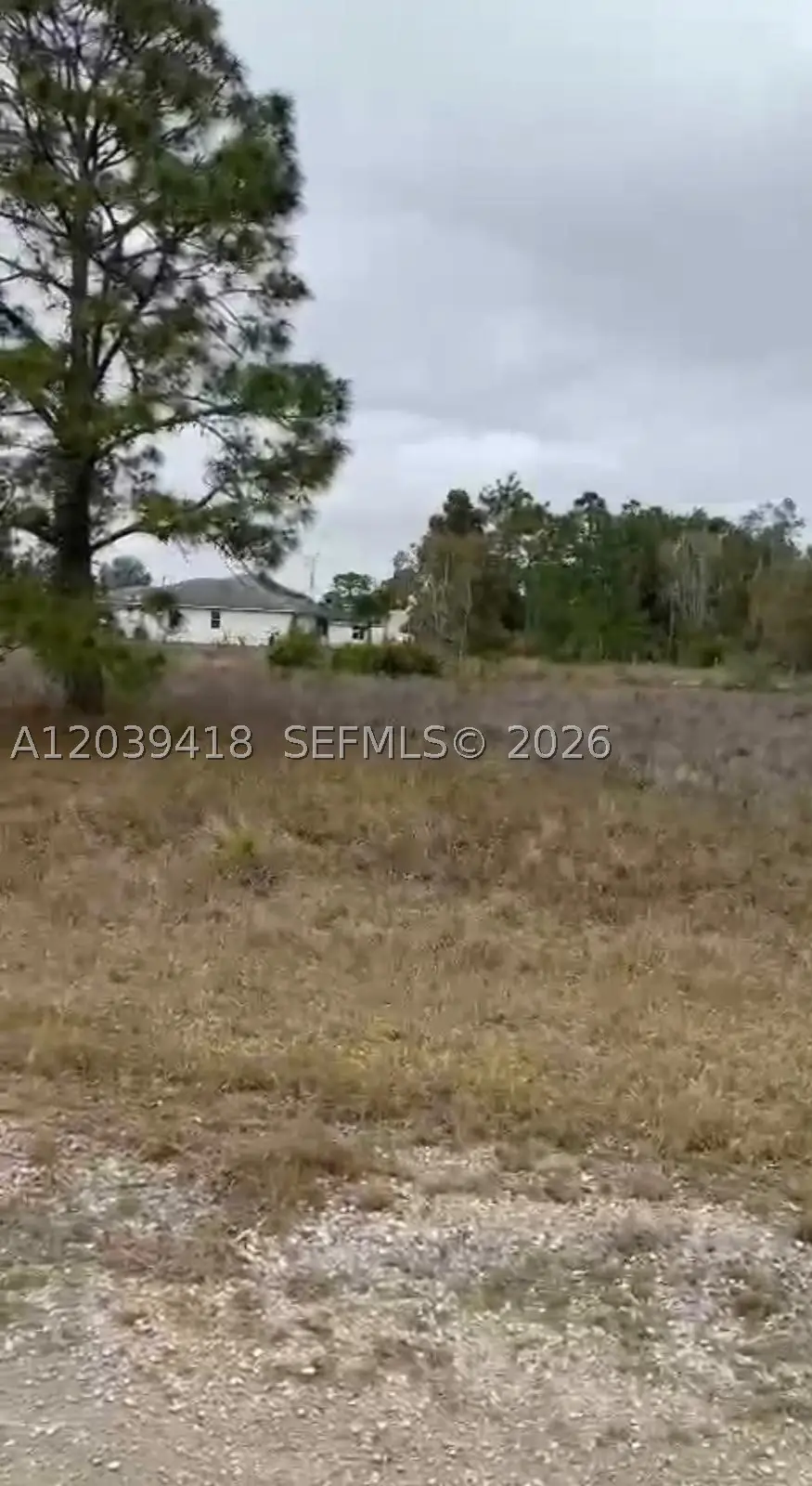 741 Bobolink Ave, Lehigh Acres, FL 33974 - #1
