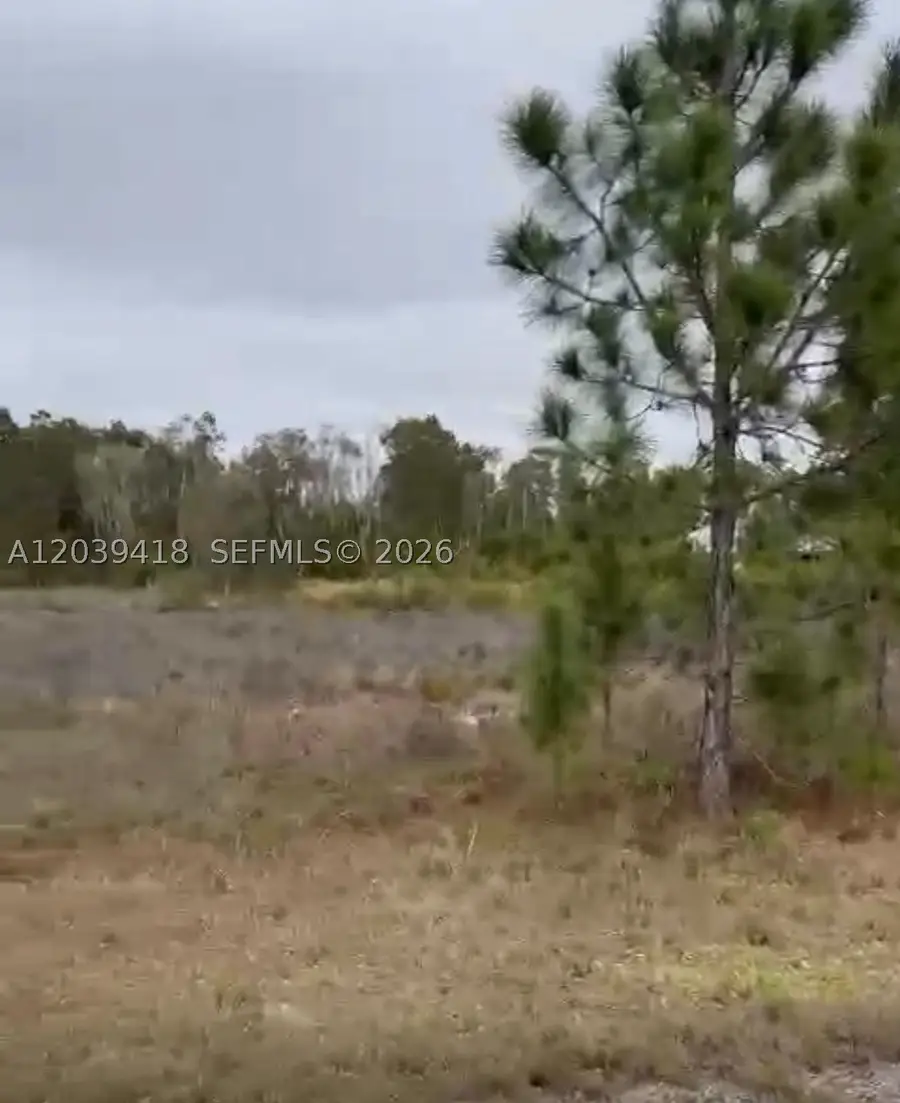 741 Bobolink Ave, Lehigh Acres, FL 33974 - #2
