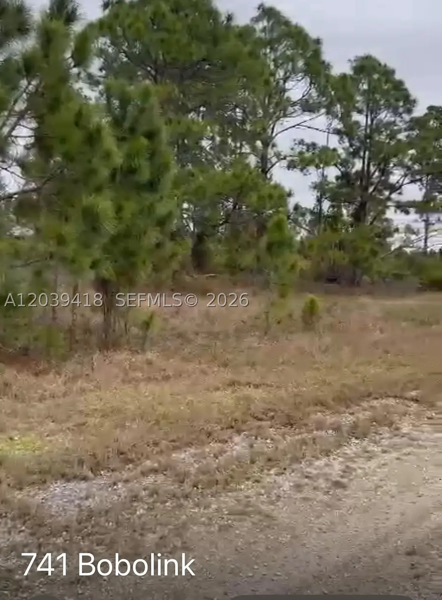 741 Bobolink Ave, Lehigh Acres, FL 33974 - #3