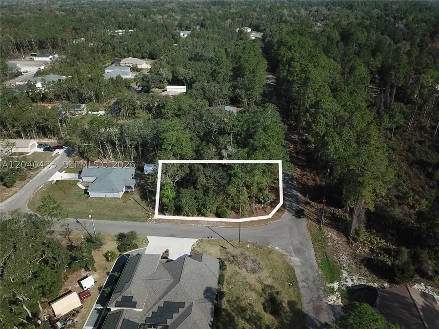 Lot Nearby Fisher Run (0.40 Acres), Ocklawaha, FL 32179 - #3