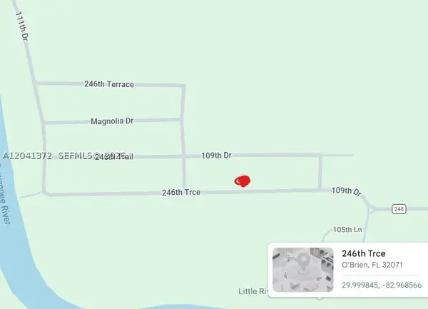 0 246th Trce, Other, FL 32071