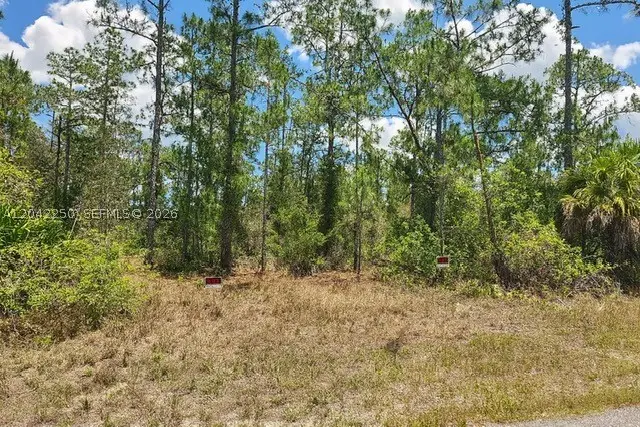 1306 Jefferson Ave, Lehigh Acres, FL 33972 - #3