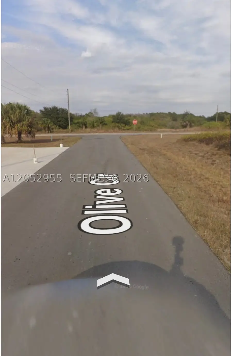 8026 Olive Circle, Port Labelle, FL 33935 - #3