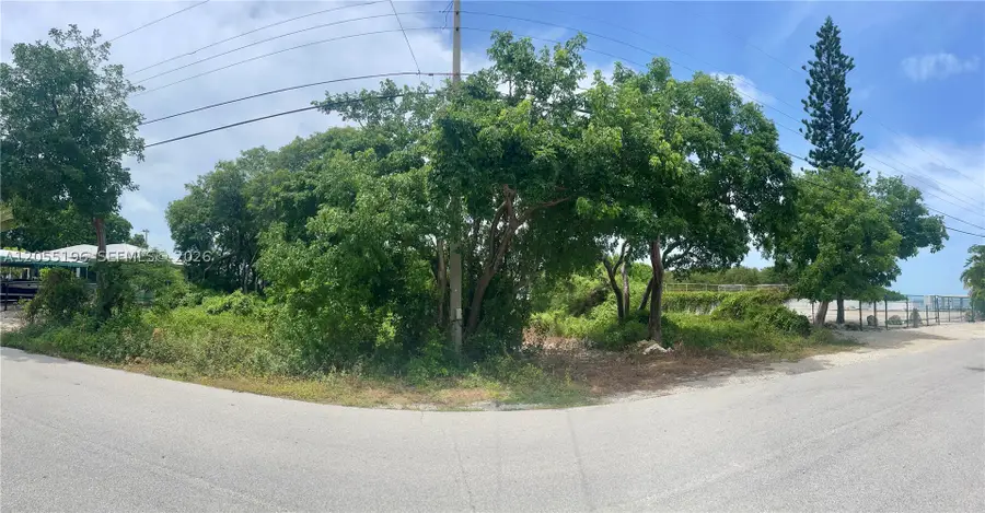 175 Plantation Shores Dr, Plantation Key, FL 33070 - #3
