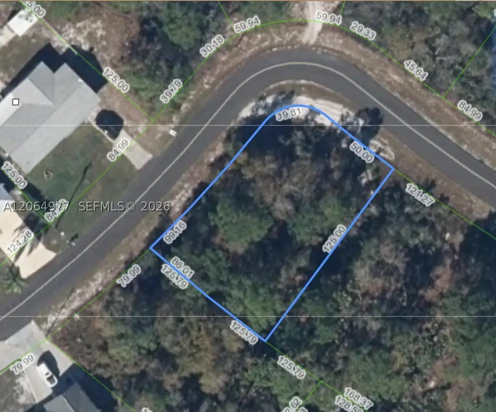 220 E Canal Way Ne, Lake Placid, FL 33852 - #1