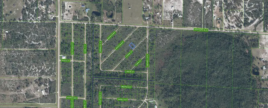 3517 Horne Street, Lake Placid, FL 33852 - #2