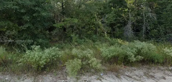 7696 Casa Grande Blvd, Other, FL 32656